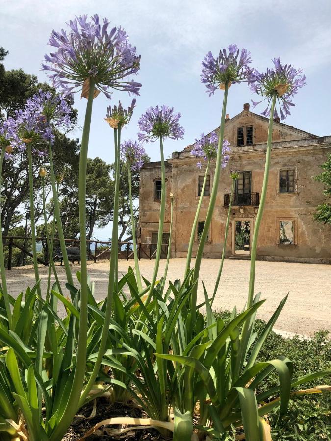 Aragonite Azzurra Casa Vacanza Gonnesa Buitenkant foto