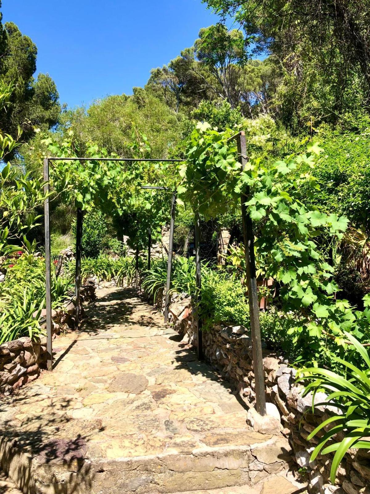 Aragonite Azzurra Casa Vacanza Gonnesa Buitenkant foto